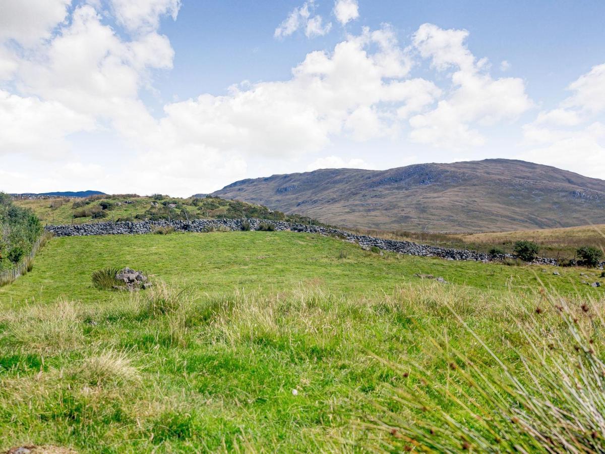 LlanfachrethLlety Nest别墅 外观 照片